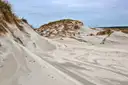 Pale coastal sand dunes with tyre tracks and tufts of dune grass