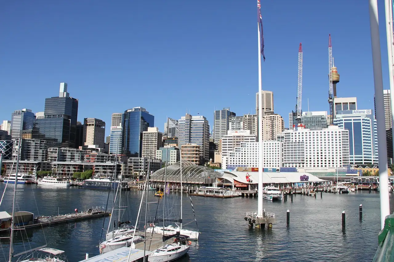 Yachts moored in Darling Harbour on a sunny day with the Sydney city skyline and Sydney Tower behind