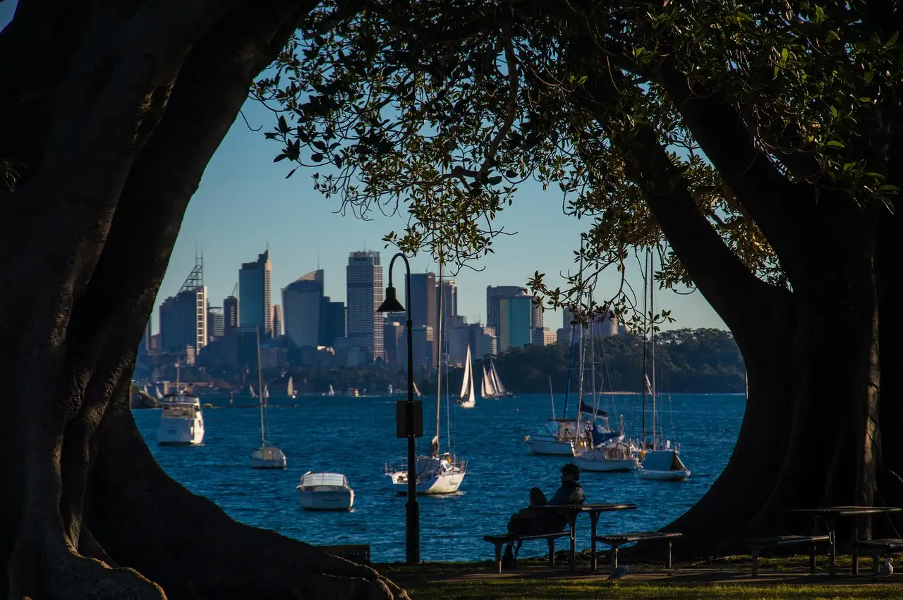 Sydney skyline and harbour seen through a gap in large park trees, with a person on a bench