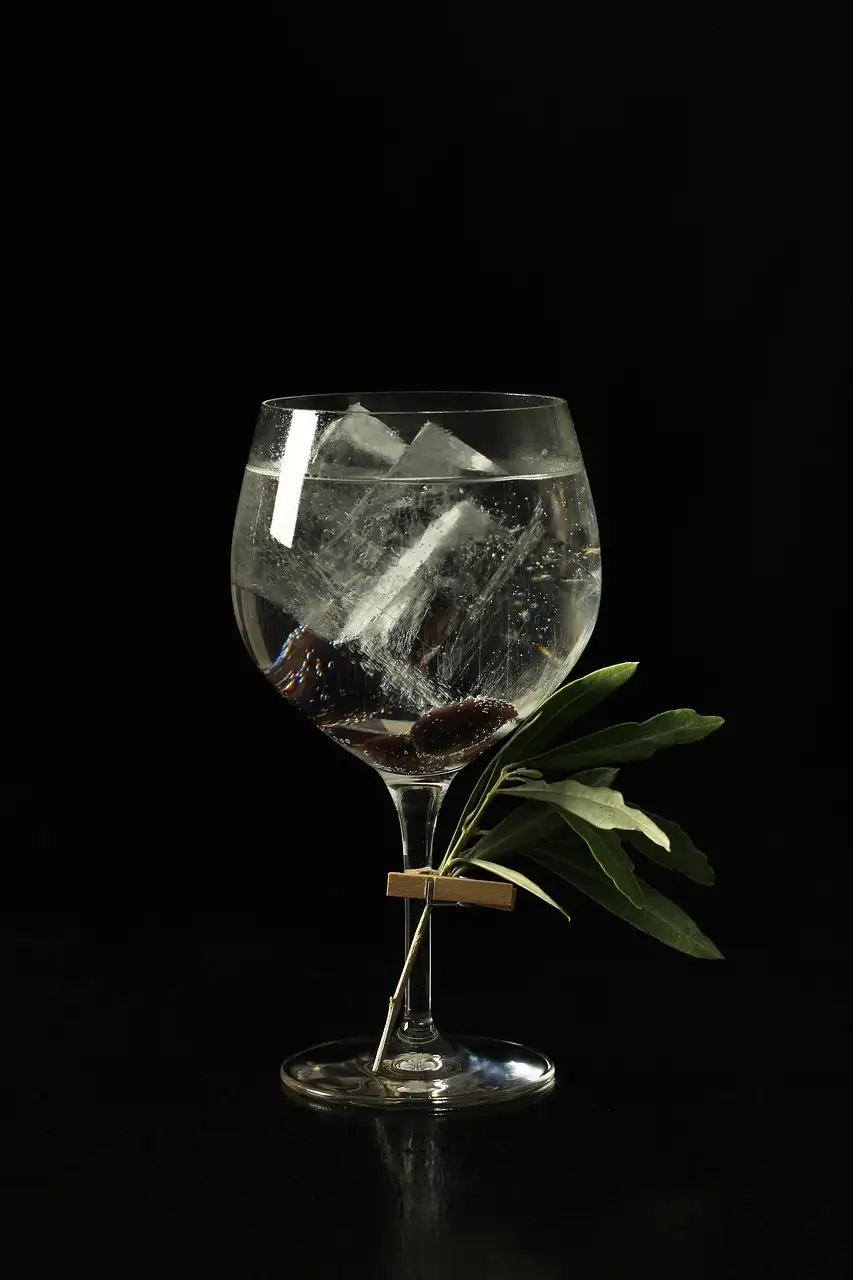 A glass of gin and tonic with ice and a sprig of leaves on a dark background