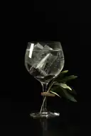 A glass of gin and tonic with ice and a sprig of leaves on a dark background