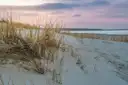 A pale dune with long grass above a beach and a calm sea