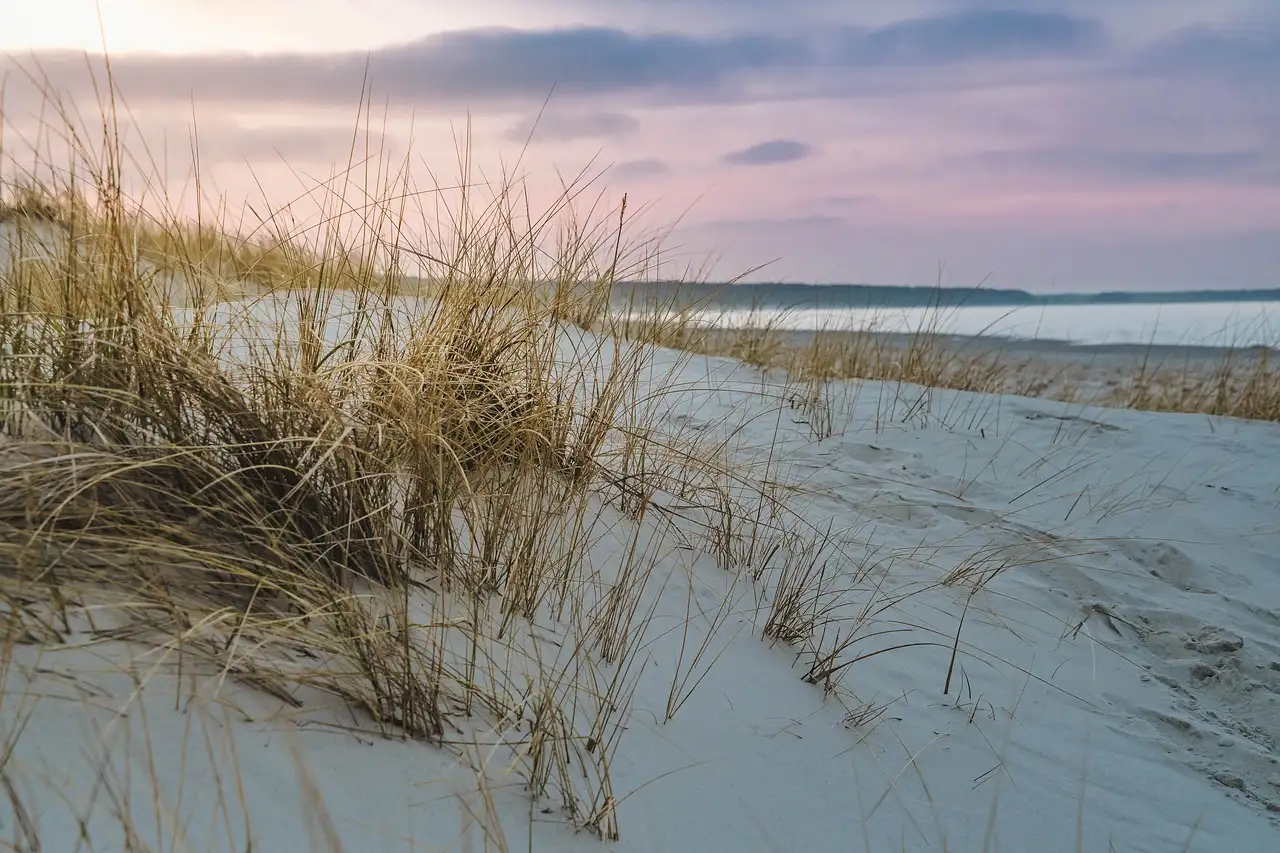 A pale dune with long grass above a beach and a calm sea
