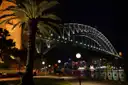 Sydney Harbour Bridge lit at night above a lamp-lit waterfront path with a palm tree