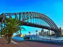 The Sydney Harbour Bridge on a sunny day, seen from the shore with a palm tree in front