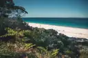 A white sand beach and turquoise water seen through coastal bush