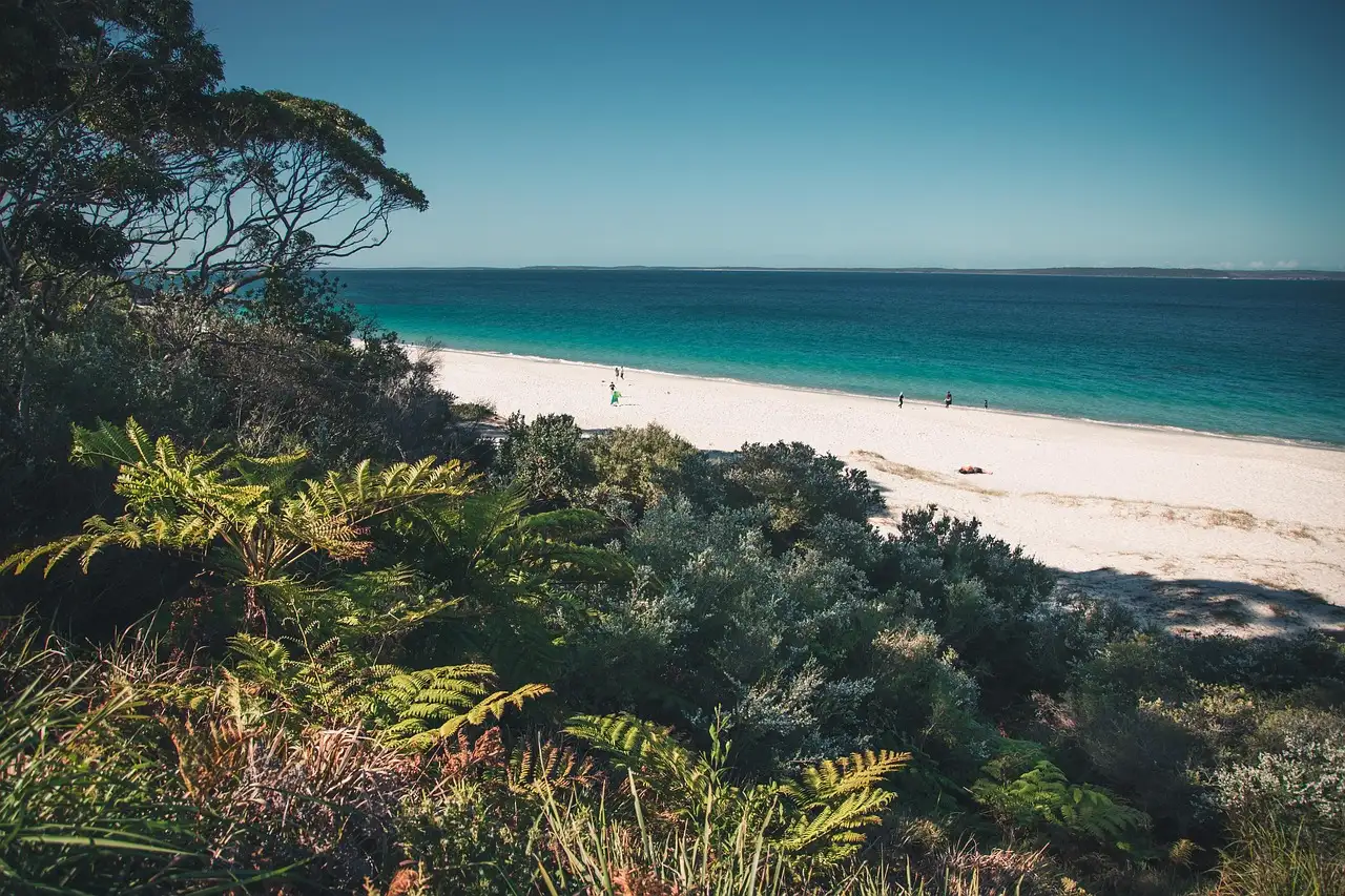A white sand beach and turquoise water seen through coastal bush