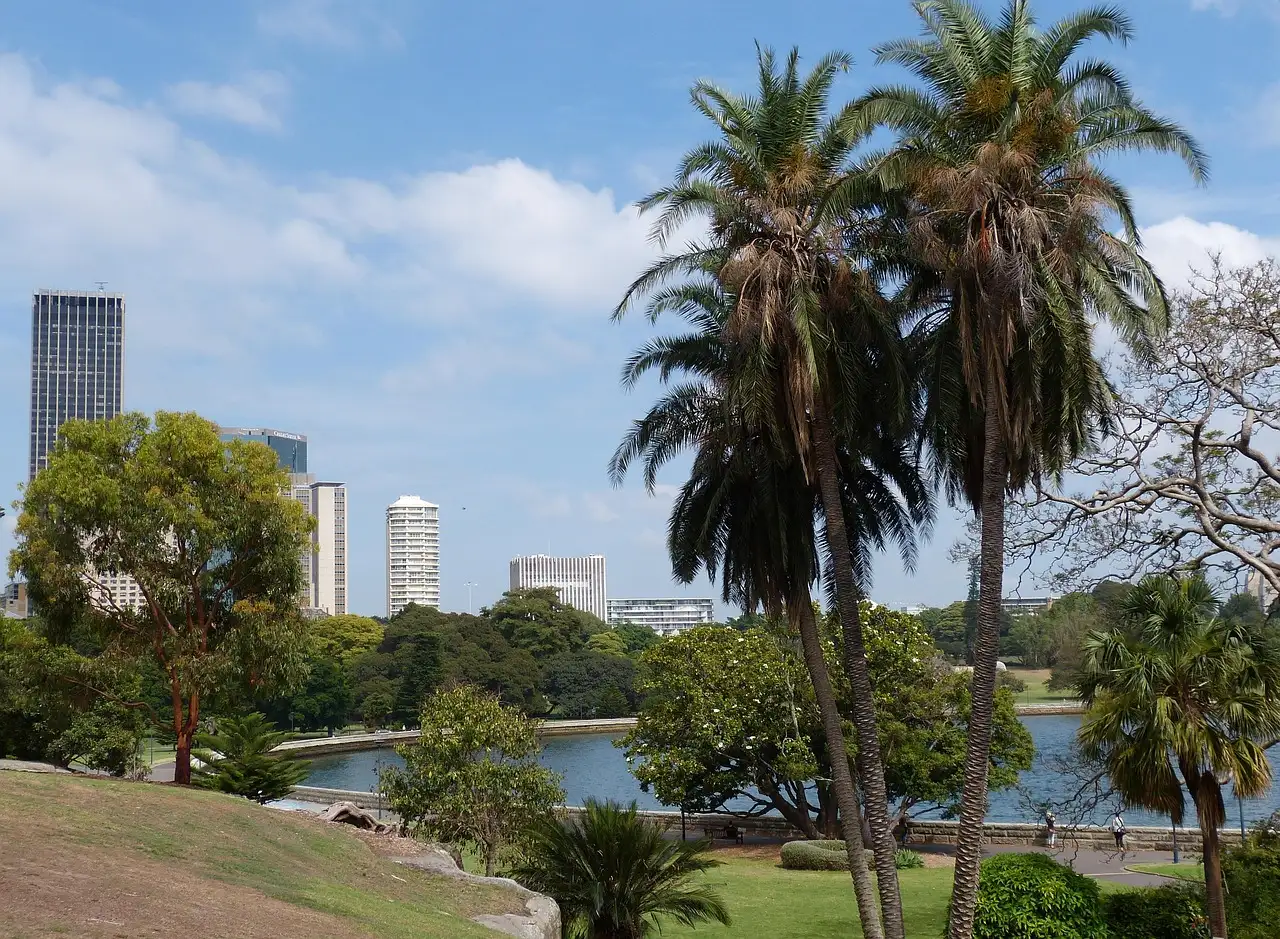 Palm trees and lawns in a Sydney botanic garden with city buildings and the water behind