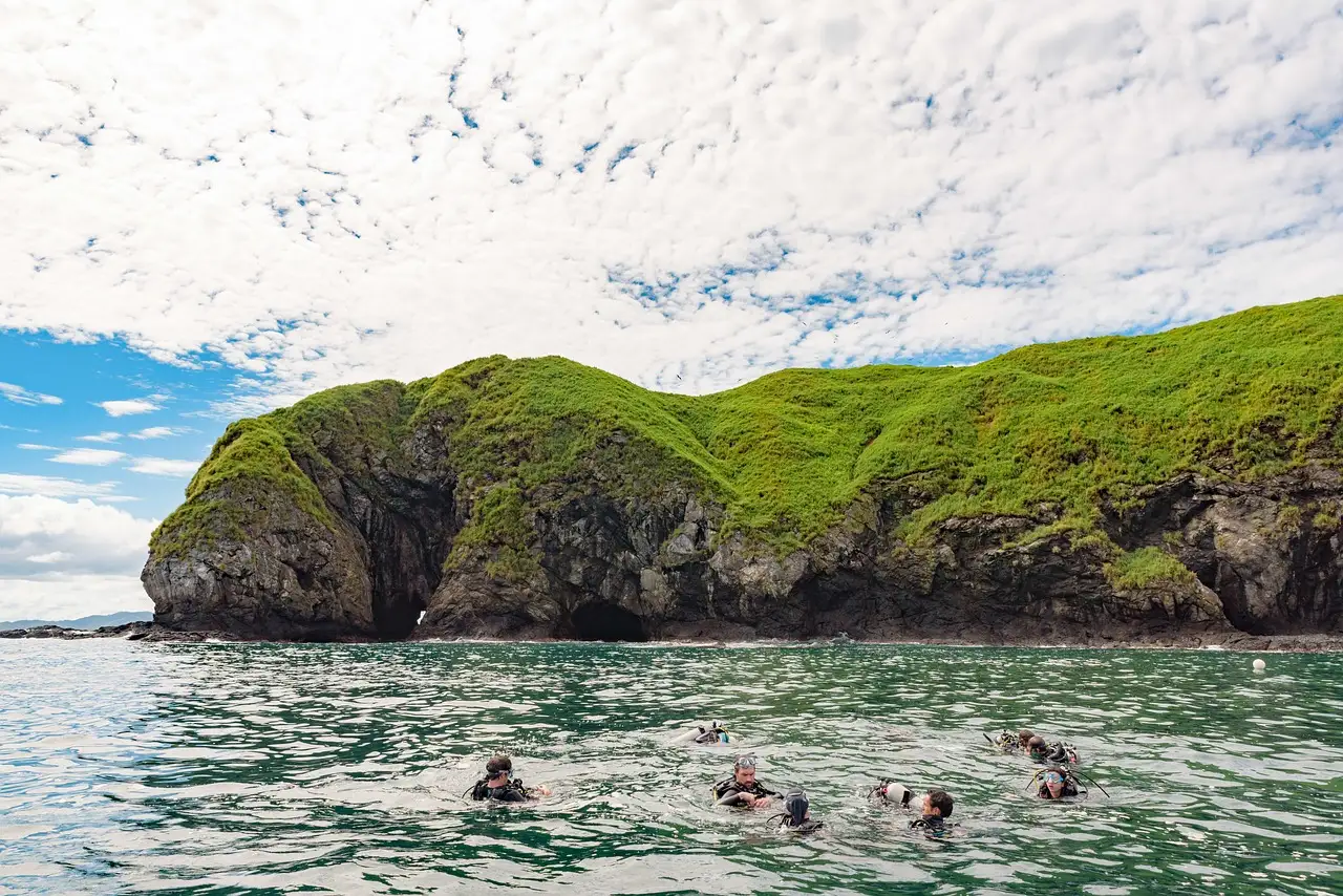 A group of snorkellers in the sea beside a green coastal headland