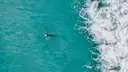A surfer paddling on a board in clear blue water, seen from above