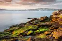 Sandstone rocks on a Sydney Harbour shore with the harbour and headland in the distance