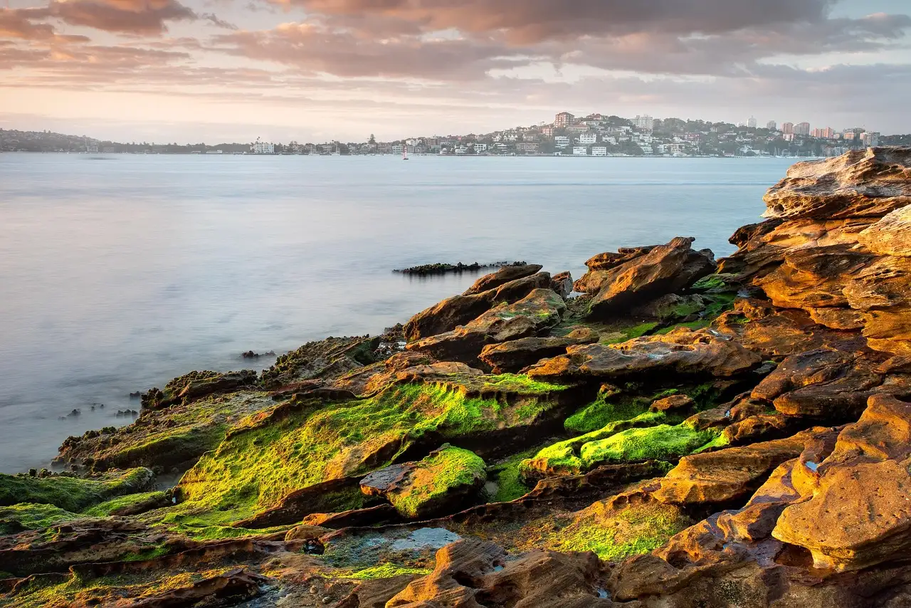 Sandstone rocks on a Sydney Harbour shore with the harbour and headland in the distance
