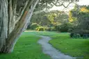 Gravel path curving across green lawn past paperbark trees in a Sydney park