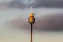 The gold-banded Sydney Tower rising above the city under a soft grey sky