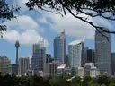 Sydney Tower and its golden turret beside the city skyscrapers under a blue sky