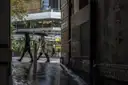 Two people with umbrellas walking past a laneway on a wet Sydney street