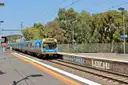 A suburban passenger train at a platform beside gum trees under a blue sky