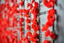 Red poppies tucked beside names on the Roll of Honour at the Australian War Memorial