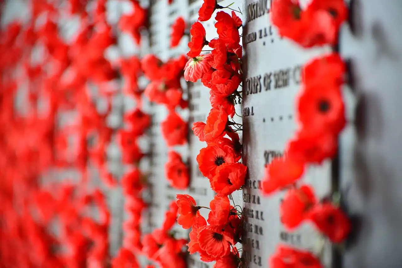 Red poppies tucked beside names on the Roll of Honour at the Australian War Memorial