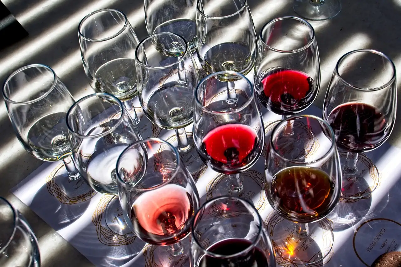 Rows of tasting glasses with red and rosé wine on a sunny table