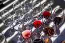 Rows of tasting glasses with red and rosé wine on a sunny table